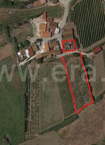 Moradia T2 Torres Vedras, São Pedro da Cadeira - 1225495 - 13