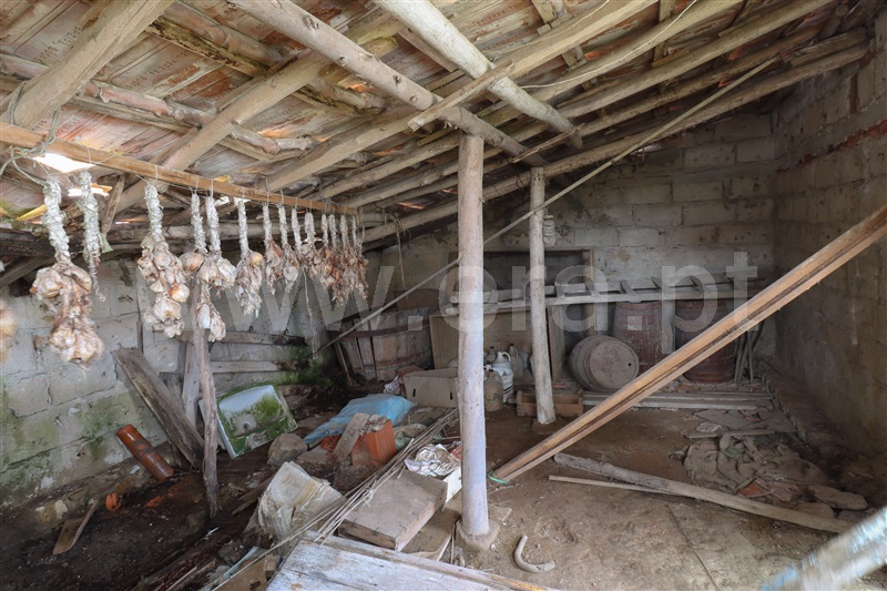 Moradia T2 com Quintal Torres Vedras, São Pedro da Cadeira - 1469559 - 10