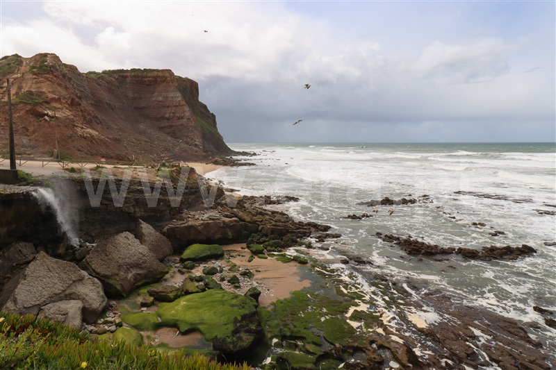 Moradia T2 com Quintal Torres Vedras, São Pedro da Cadeira - 1469559 - 13