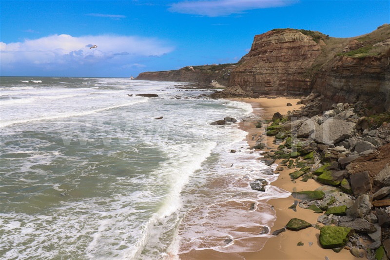 Moradia T2 com Quintal Torres Vedras, São Pedro da Cadeira - 1469559 - 14