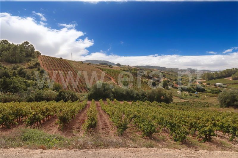 Moradia T3 Torres Vedras, Turcifal - 1402626 - 11