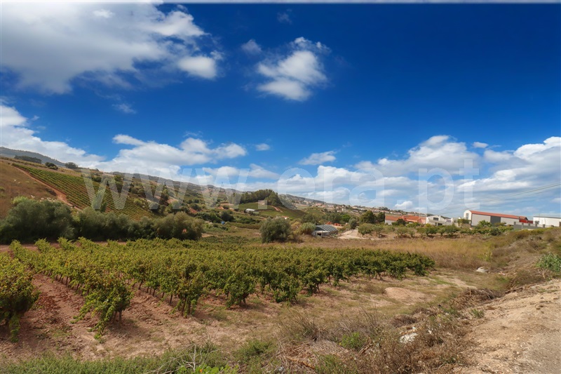 Moradia T3 Torres Vedras, Turcifal - 1402626 - 12