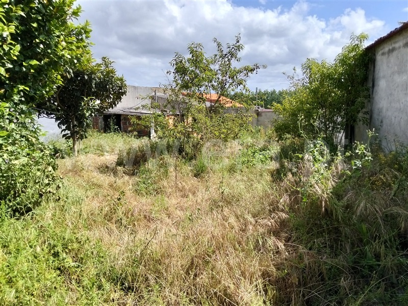 Moradia T2 à venda em Sosa, Vagos — foto 5