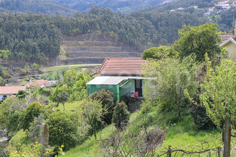 Moradia T2 Vale de Cambra, Roge - 1290938 - 2