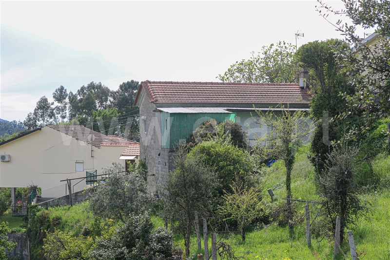 Moradia T2 Vale de Cambra, Roge - 1290938 - 3