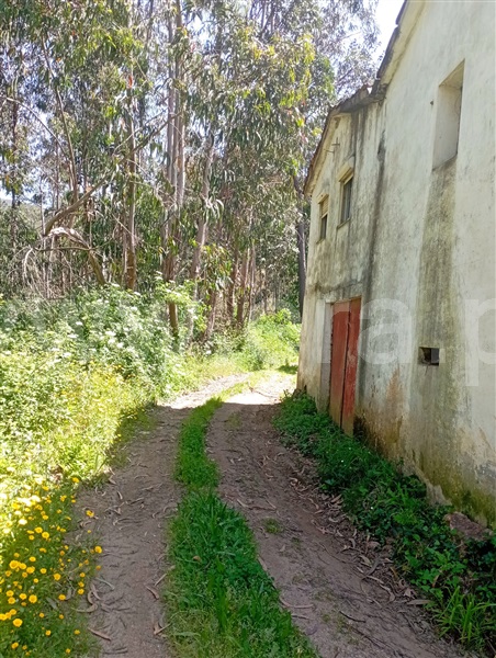 Moradia T2 Vale de Cambra, São Pedro de Castelões - 1402470 - 54