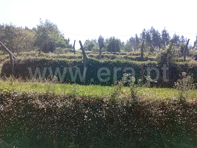 Moradia T2 Vale de Cambra, São Pedro de Castelões - 1402470 - 78