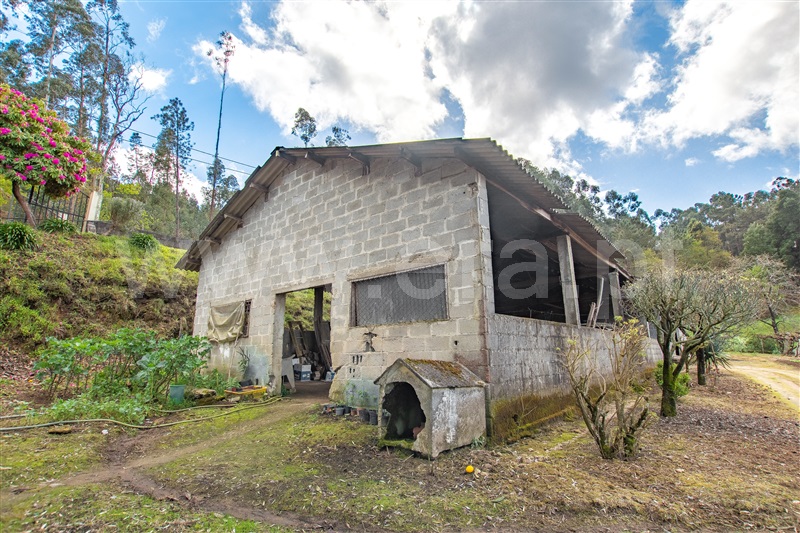 Moradia T2 Valença, Fontoura - 1314394 - 16