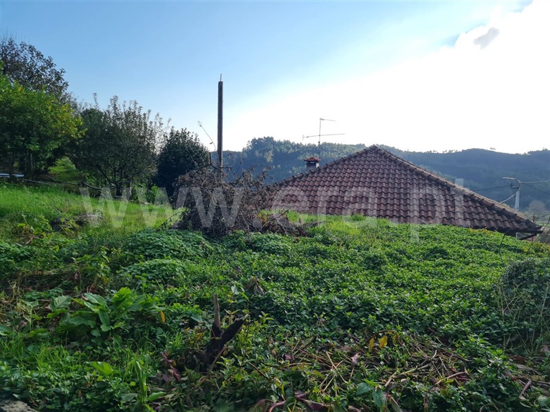 Moradia T2 com Anexo Vieira do Minho, Anissó e Soutelo - 1439966 - 24
