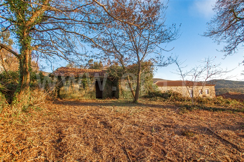 Moradia T2 / Vila Nova de Cerveira, Sopo