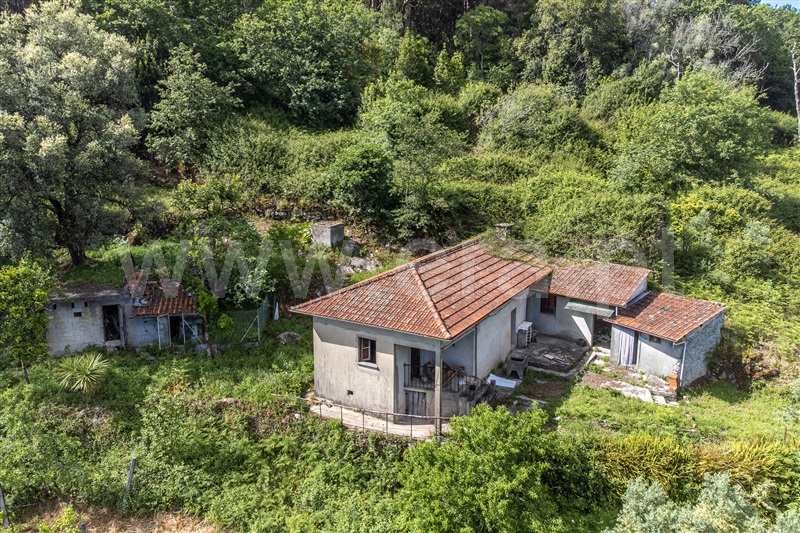 Moradia T2 Vila Verde, Oriz (Santa Marinha) e Oriz (São Miguel) - 1471364 - 3