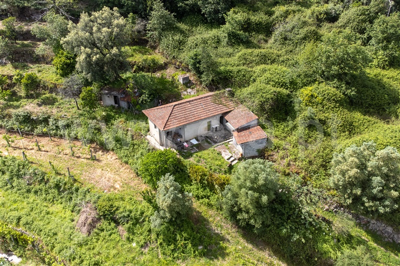 Moradia T2 Vila Verde, Oriz (Santa Marinha) e Oriz (São Miguel) - 1471364 - 9