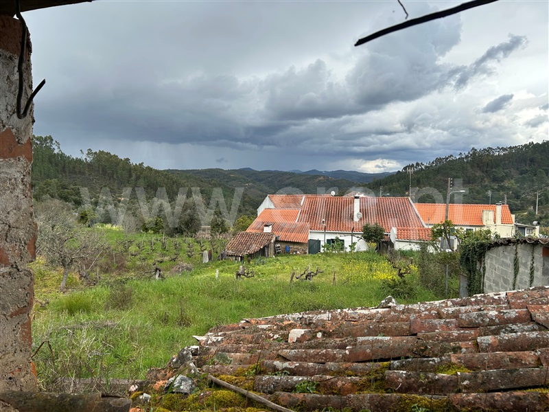 Moradia T3 Abrantes, Abrantes (São Vicente e São João) e Alferrarede - 1462561 - 11