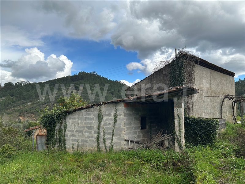 Moradia T3 Abrantes, Abrantes (São Vicente e São João) e Alferrarede - 1462561 - 12