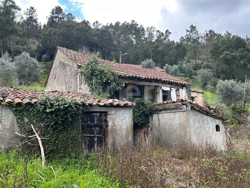 Moradia T3 / Abrantes, Abrantes (São Vicente e São João) e Alferrarede