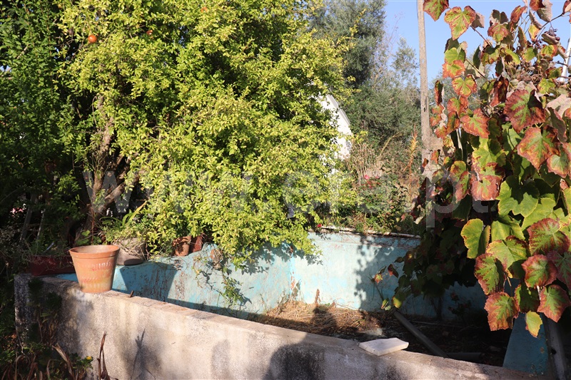 Moradia T3 Abrantes, Abrantes (São Vicente e São João) e Alferrarede - 1513972 - 2