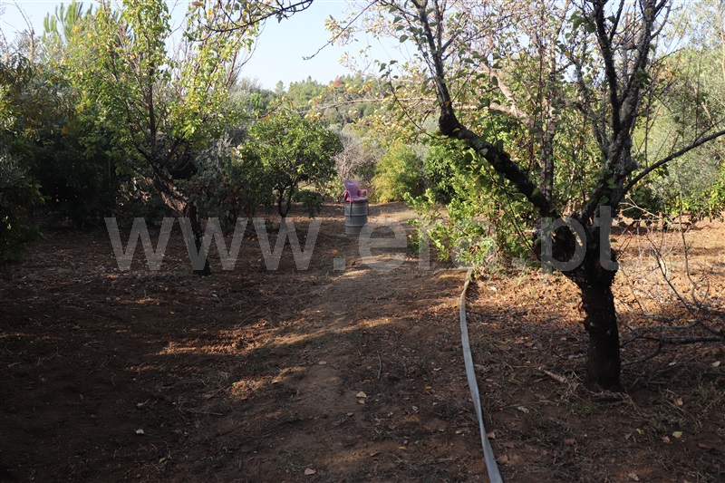 Moradia T3 Abrantes, Abrantes (São Vicente e São João) e Alferrarede - 1513972 - 7