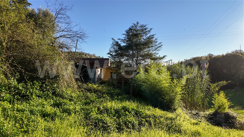 Moradia T4 Abrantes, Amoreira - 1443570 - 1
