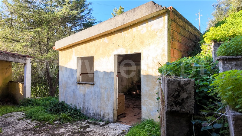 Moradia T4 Abrantes, Amoreira - 1443570 - 2
