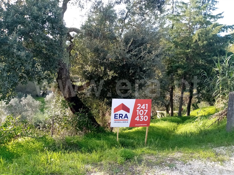 Moradia T3 Abrantes, Amoreira - 1443570 - 10