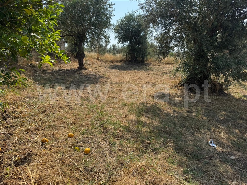 Moradia T3 Abrantes, Barrada - 1482462 - 6