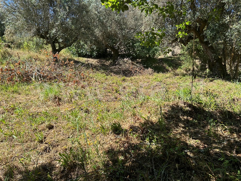 Moradia T3 Abrantes, Carvalhal - 1484194 - 1