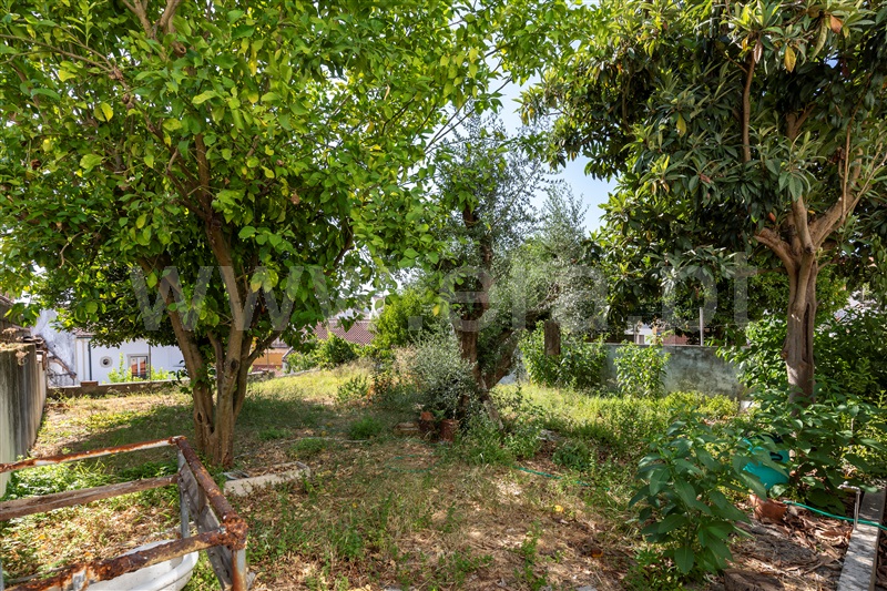 Moradia T3 Abrantes, Centro Histórico - 1498441 - 10