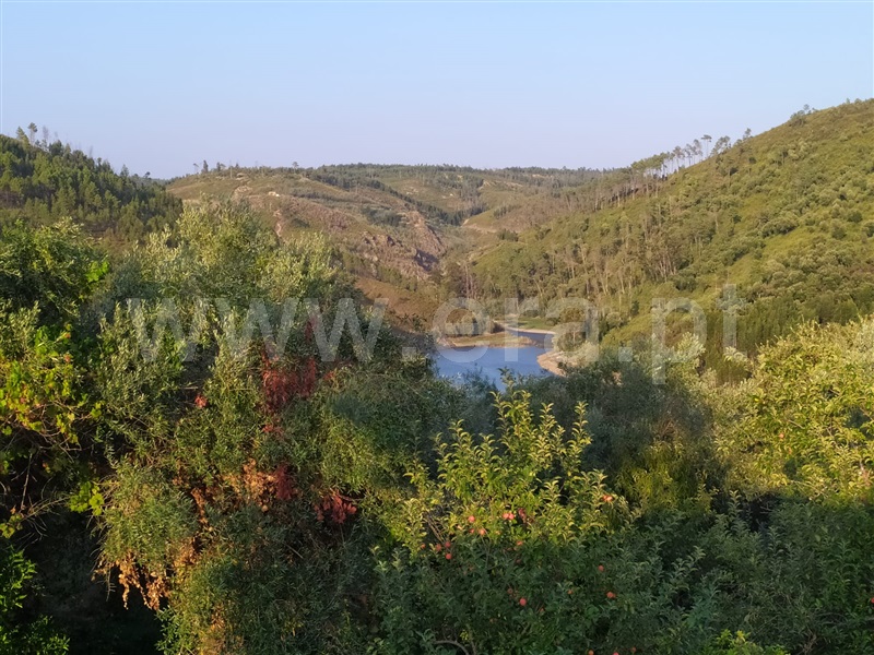 Moradia T3 Abrantes, Matagosa - 1194353 - 20