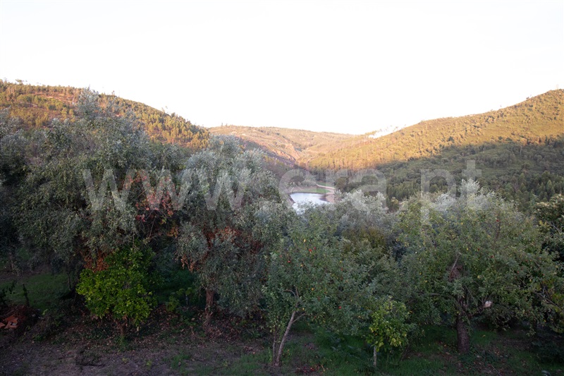 Moradia T3 Abrantes, Matagosa - 1194353 - 25