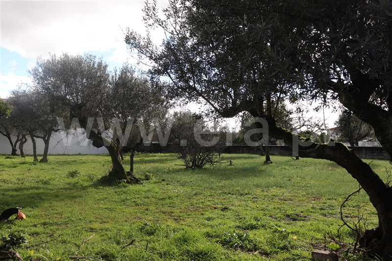 Moradia T3 Abrantes, Pego - 1245773 - 4