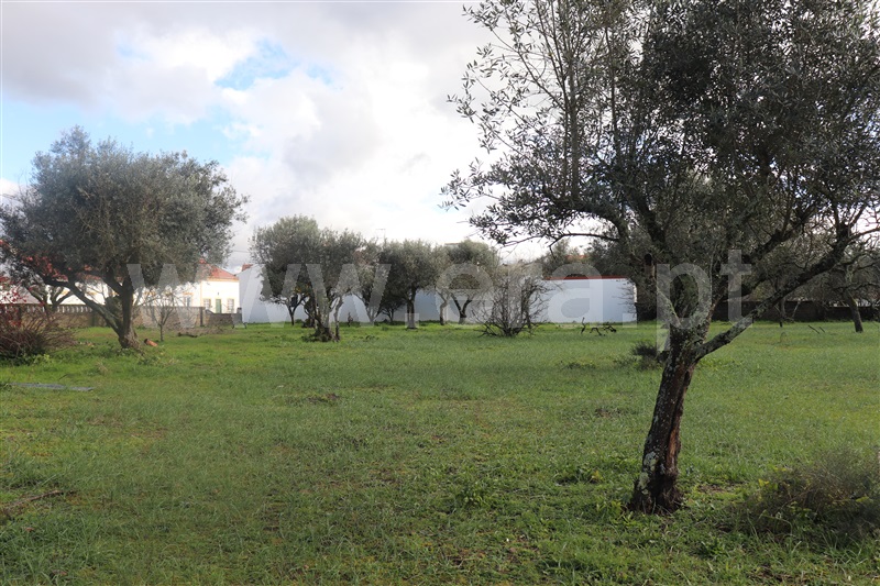 Moradia T3 Abrantes, Pego - 1245773 - 6