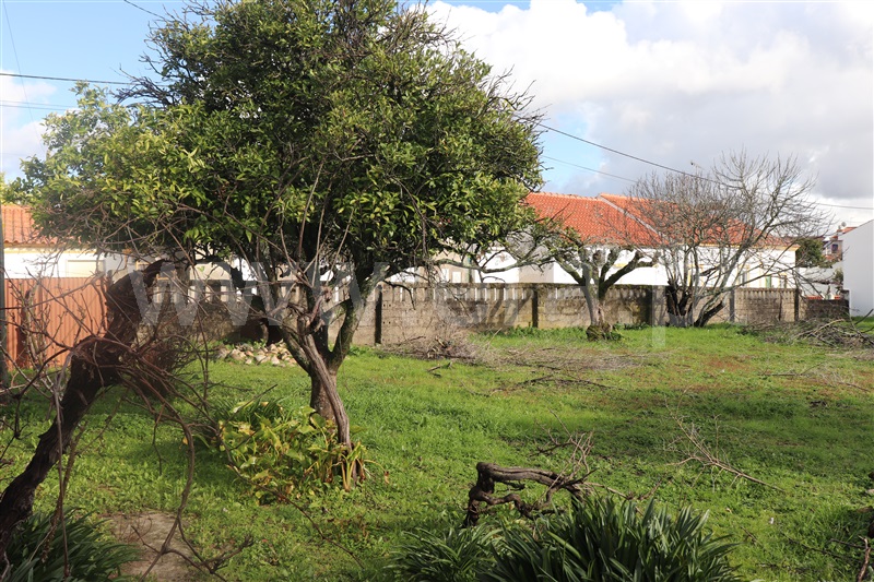 Moradia T3 Abrantes, Pego - 1245773 - 7