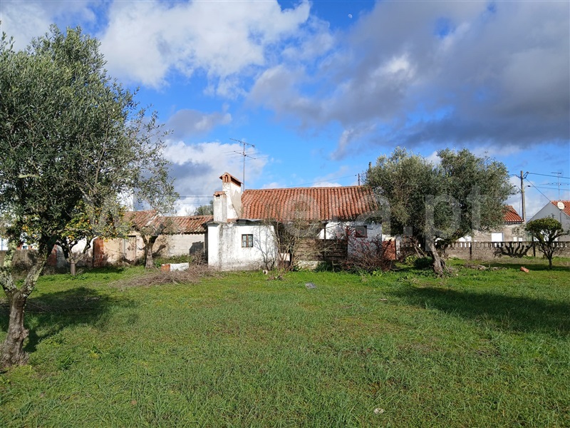 Moradia T3 Abrantes, Pego - 1245773 - 12