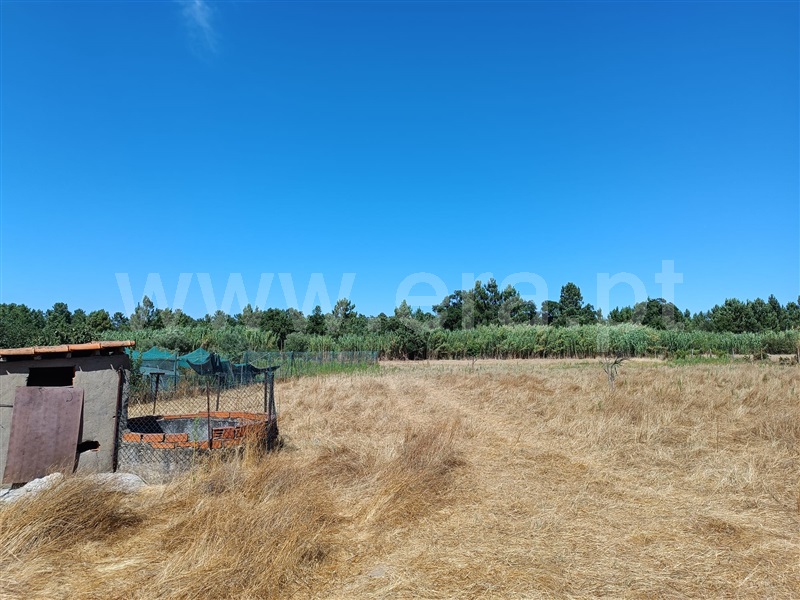 Moradia T3 Abrantes, Tramagal - 1501772 - 8