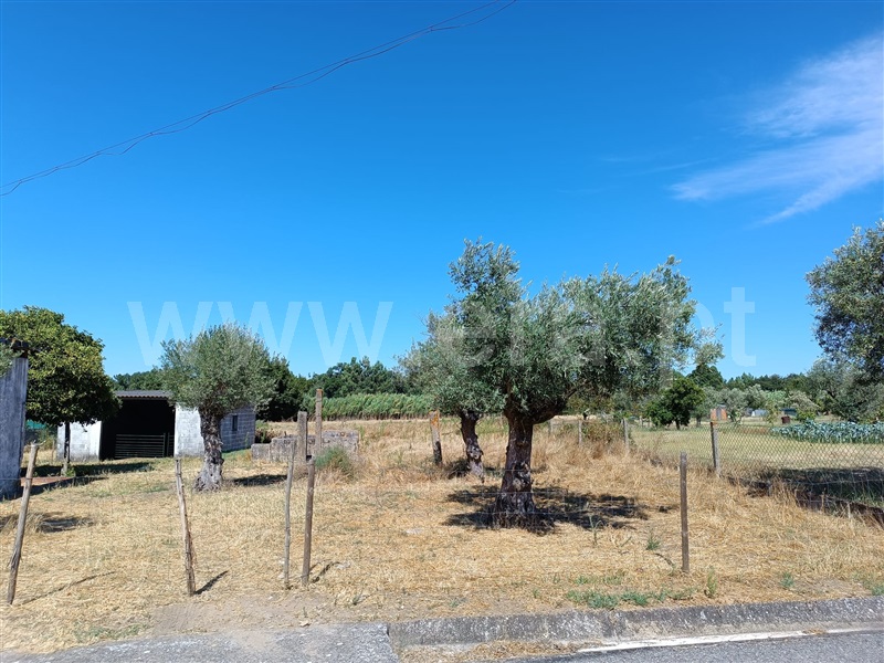 Moradia T3 Abrantes, Tramagal - 1501772 - 10