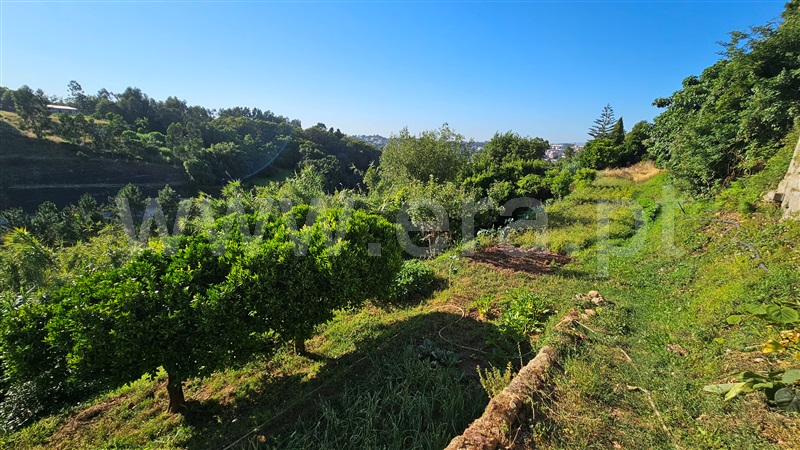 Moradia T3 Águeda, Recardães - 1491324 - 23