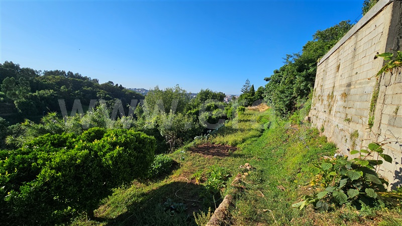 Moradia T3 Águeda, Recardães - 1491324 - 21