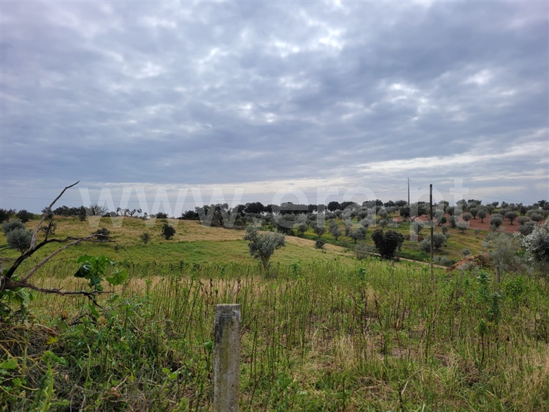 Moradia T3 à venda em Alandroal (Nossa Senhora da Conceição), São Brás dos Matos (Mina do Bugalho) e Juromenha (Nossa Senhora do Loreto), Alandroal — foto 4