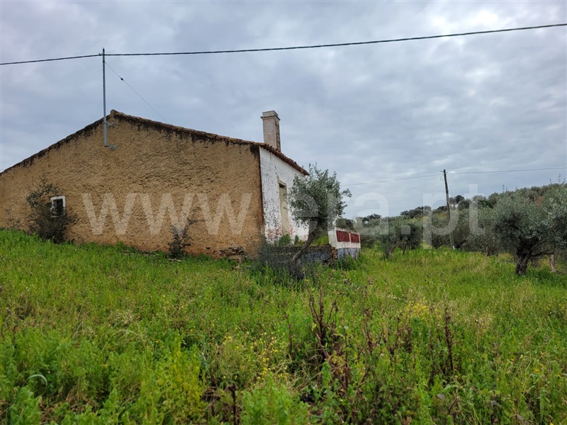 Moradia T3 à venda em Alandroal (Nossa Senhora da Conceição), São Brás dos Matos (Mina do Bugalho) e Juromenha (Nossa Senhora do Loreto), Alandroal — foto 13
