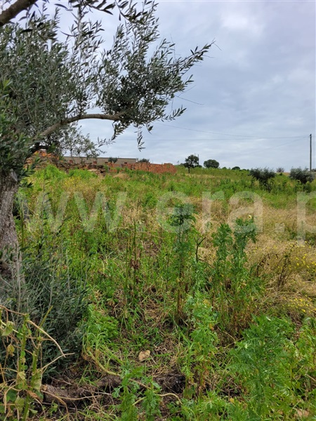 Moradia T3 à venda em Alandroal (Nossa Senhora da Conceição), São Brás dos Matos (Mina do Bugalho) e Juromenha (Nossa Senhora do Loreto), Alandroal — foto 16