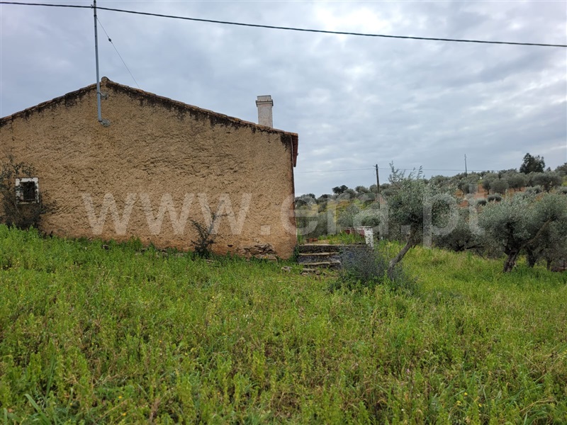 Moradia T3 à venda em Alandroal (Nossa Senhora da Conceição), São Brás dos Matos (Mina do Bugalho) e Juromenha (Nossa Senhora do Loreto), Alandroal — foto 18