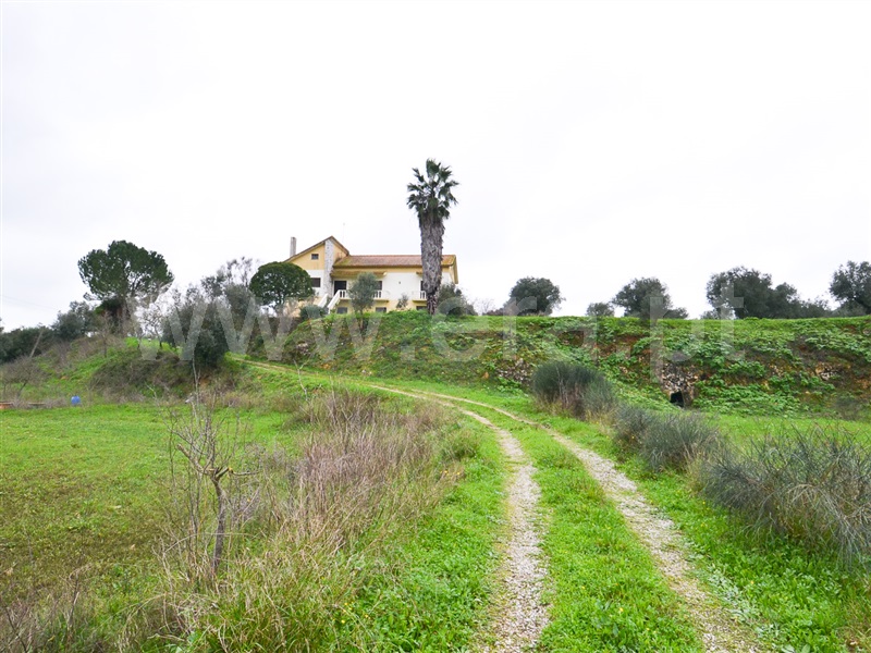 Quinta  Alcanena, Alcanena - 1486145 - 2