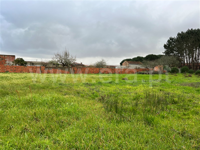 Moradia T3 Alcobaça, Pataias e Martingança - 1304854 - 6