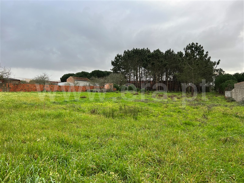 Moradia T3 Alcobaça, Pataias e Martingança - 1304854 - 8