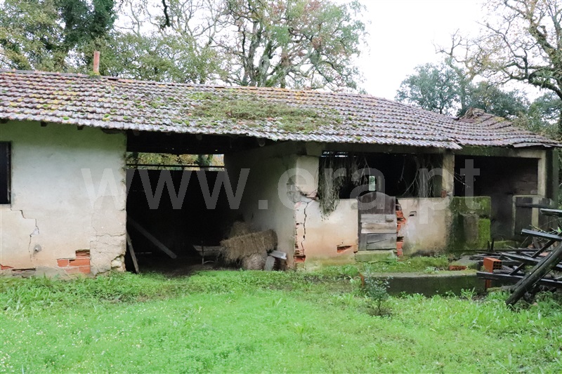 Moradia T3 Alvaiázere, Maçãs de Dona Maria - 1140880 - 3