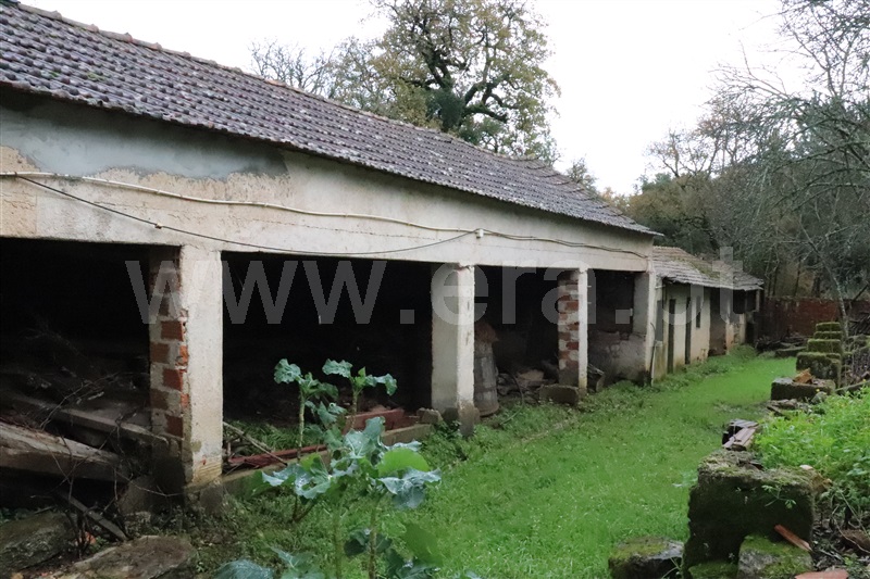Moradia T3 Alvaiázere, Maçãs de Dona Maria - 1140880 - 5