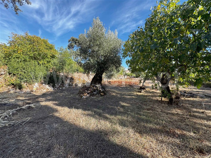 Moradia T3 Alvaiázere, Pelmá - 1509440 - 10