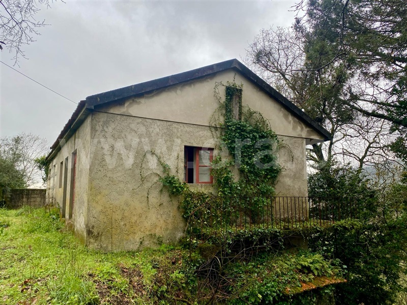 Moradia T3 Amarante, Mancelos - 781245 - 9
