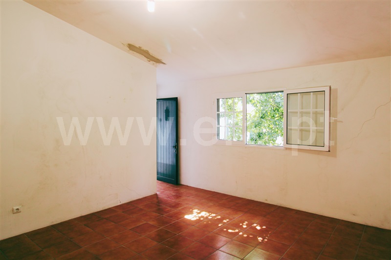 Moradia T3 com Anexo Anadia, Avelãs de Caminho - 1502971 - 20