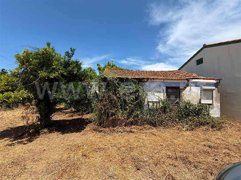 Moradia T3 à venda em Sangalhos, Anadia — foto 2